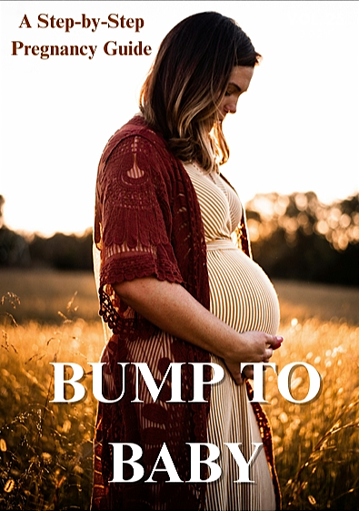 BUMP TO BABY, A Step-by-Step Pregnancy Guide